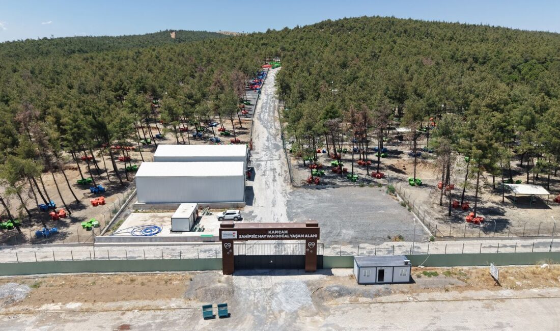 Büyükşehir ve Sahipsiz Hayvanları Koruma Birliği’nden 5 Binin Üzerinde Can Dostuna Güvenli Yaşam Alanı Büyükşehir Belediyesi, Sahipsiz Hayvanları Koruma Birliği iş birliğiyle can dostların
